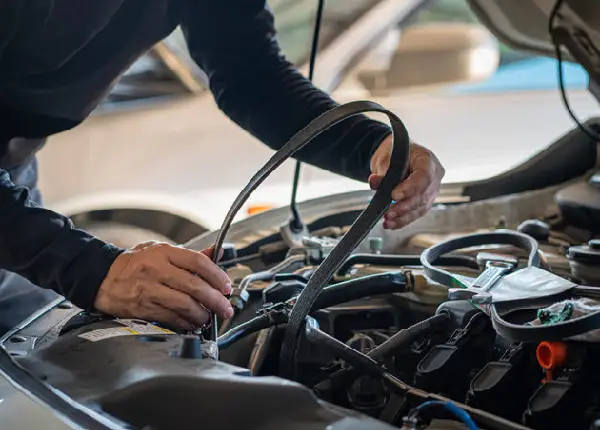 When Should You Replace the Timing Belt Timing Belt Replacement in Altona